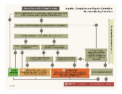 ICRC Decision-Making Flowchart