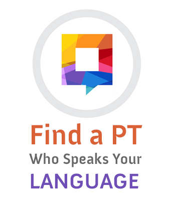 Icon_PT_Language